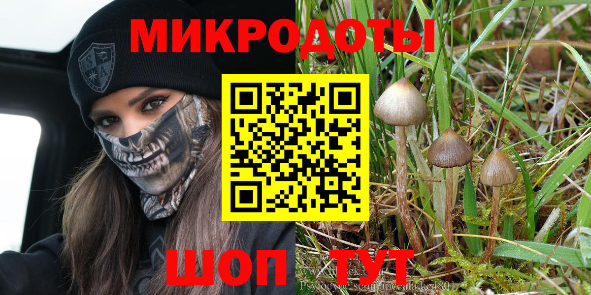 Псилоцибиновые грибы Magic Shrooms  Галлюциногенные грибы Psilocybine cubensis  Вход с VPN  Чита 